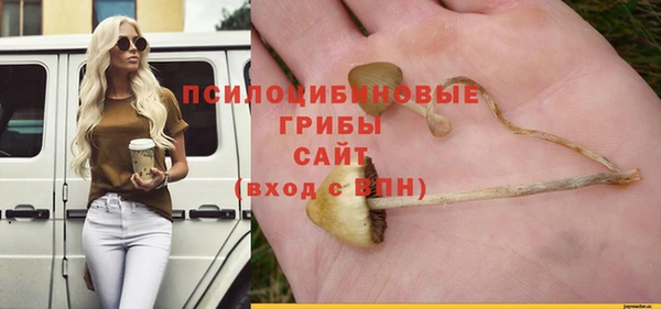 прущая мука Медвежьегорск