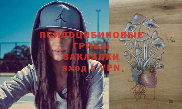 прущая мука Медвежьегорск