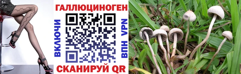 Галлюциногенные грибы прущие грибы  цена   Приволжск 
